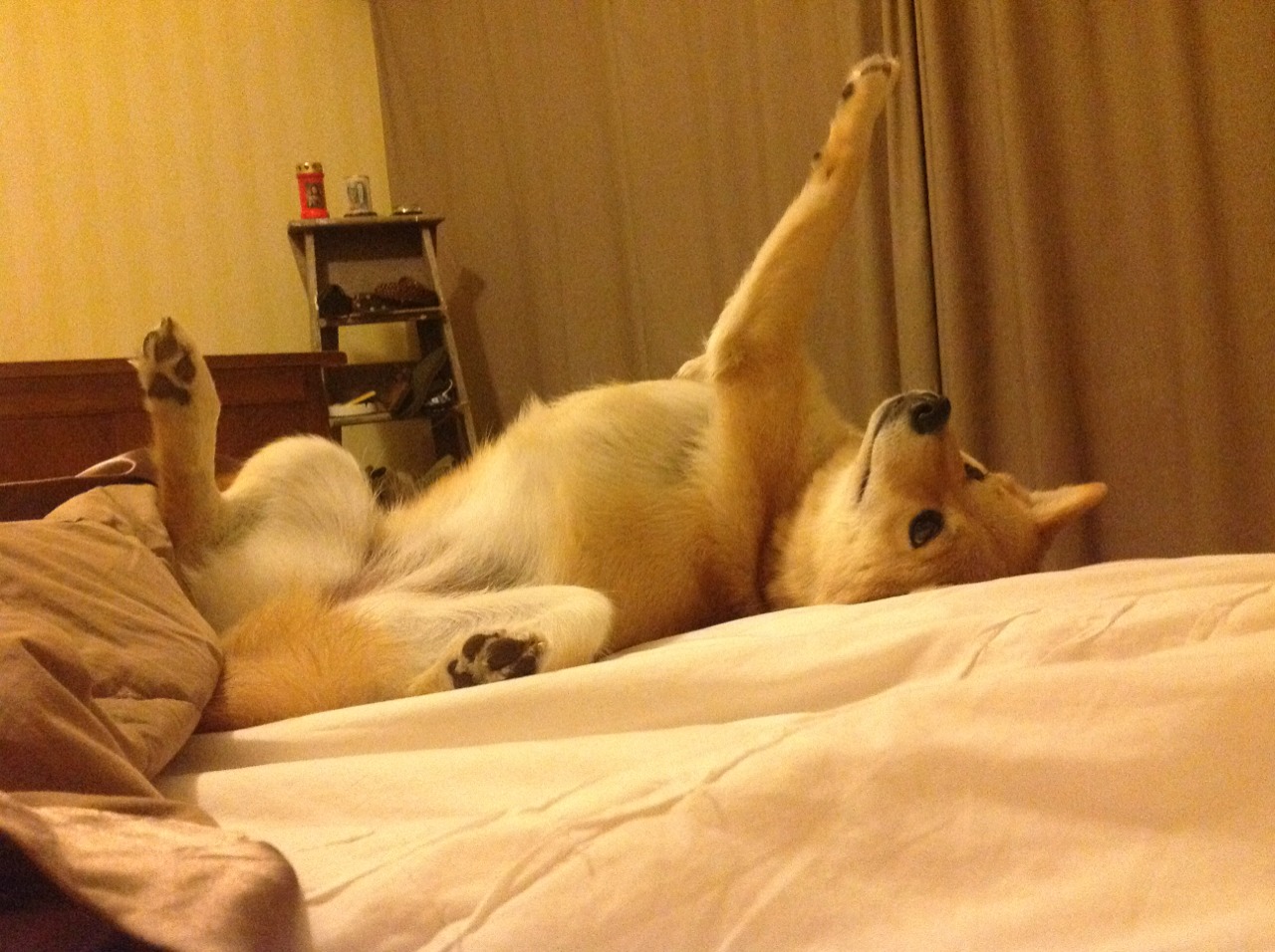 东契奇单节狂飙定乾坤,勇士第三节风暴击溃活塞