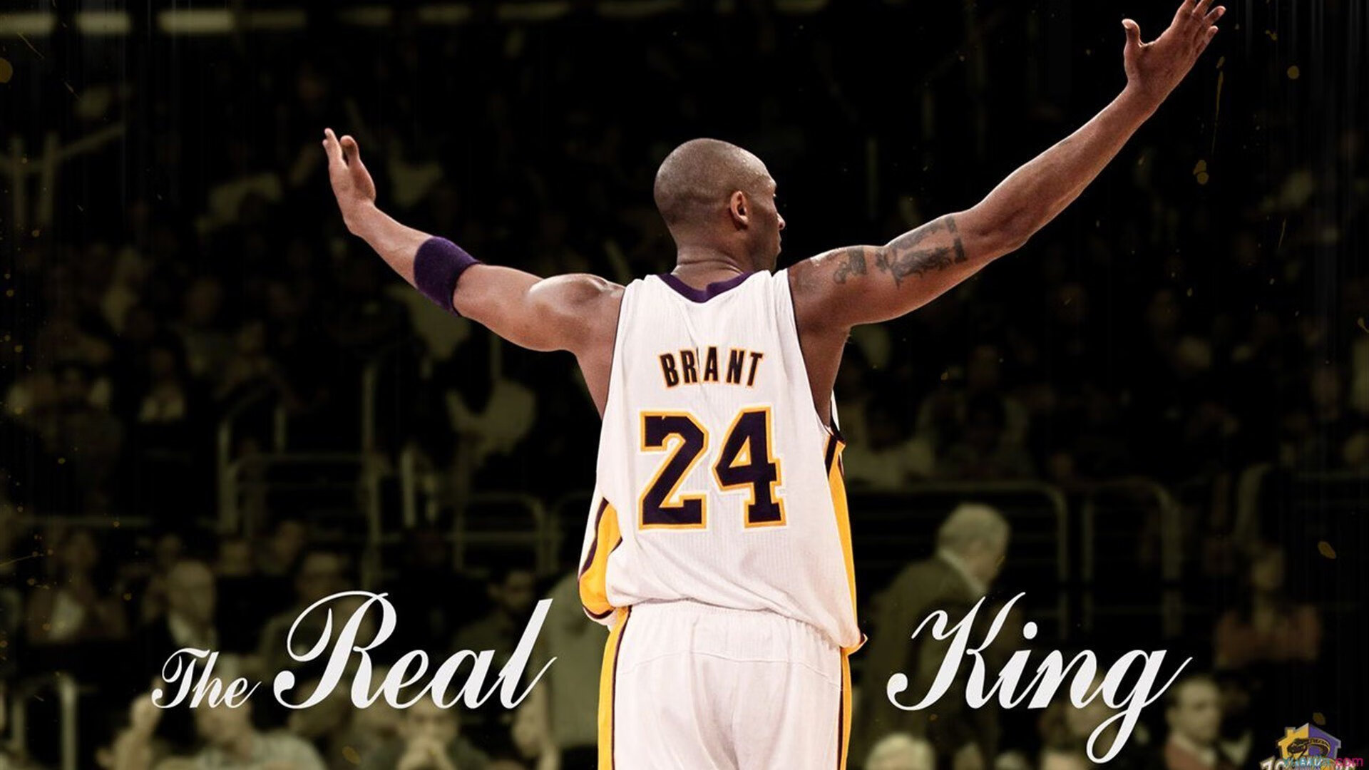 跨界王者，当国王制霸快船，欧文在欧冠半决赛接管比赛