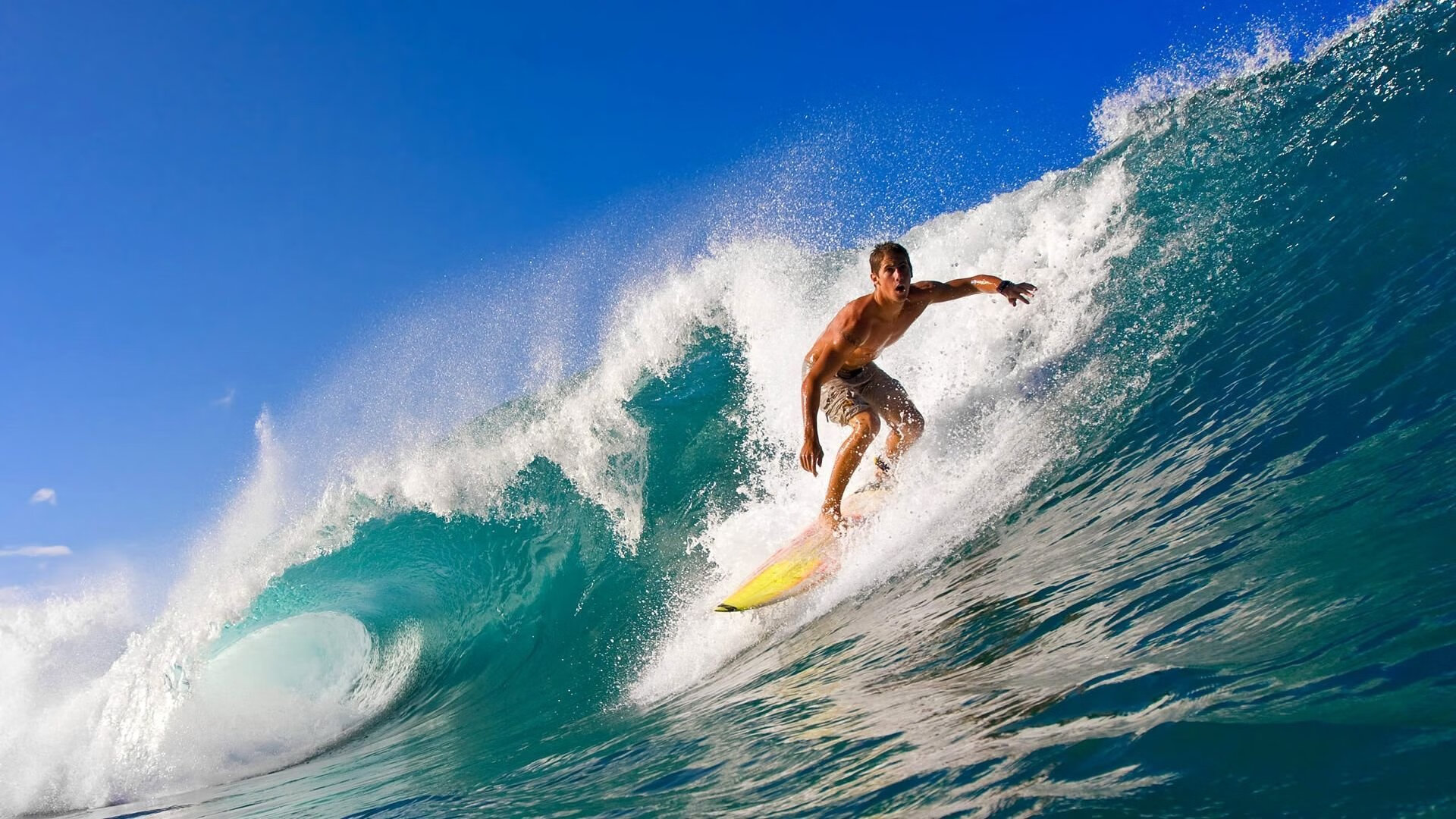 赛道与球场，文班亚马的跨界证明